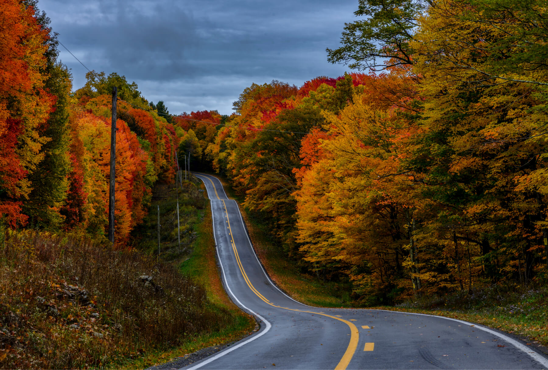 Beautiful two-lane road adorned with fall foliage and trees